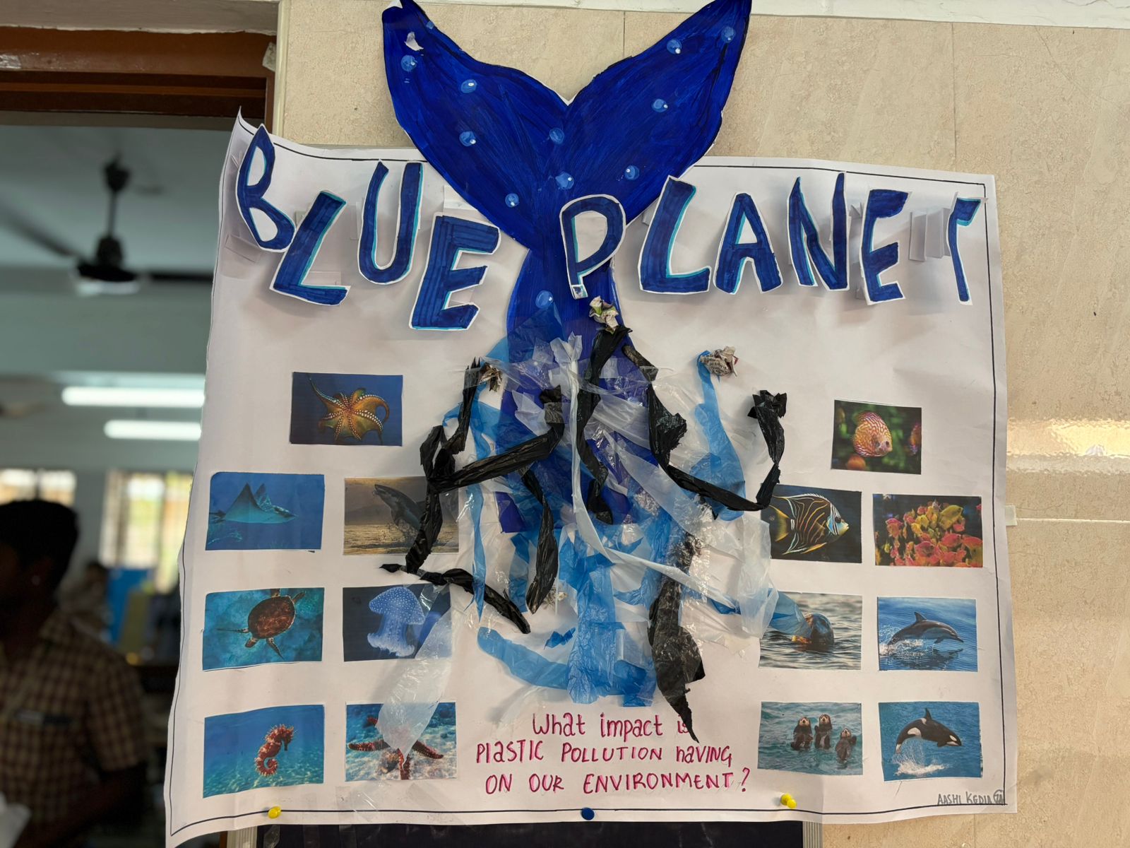 Project Day For Classes 6 & 7